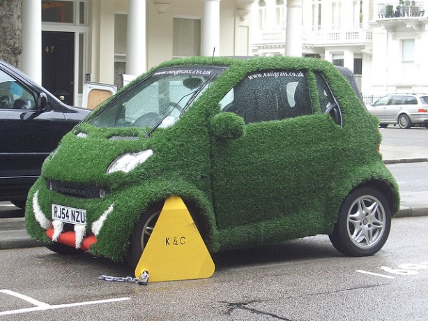 grass-car-booted